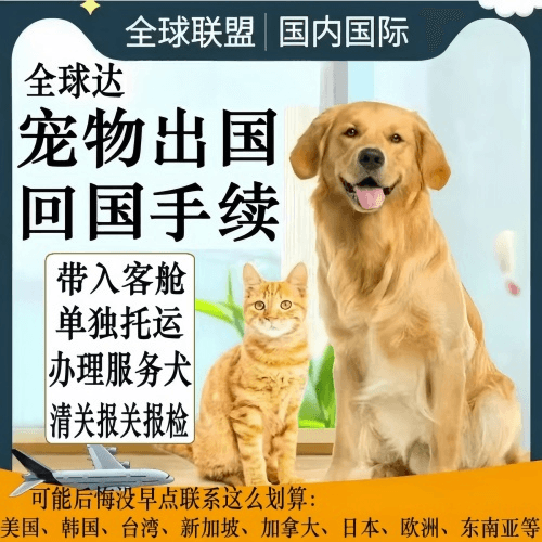 玉林市宠物托运到柬埔寨宠物入境规定和要求