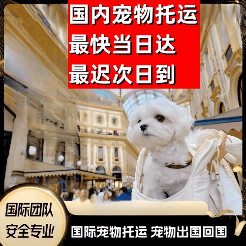 玉林市到澳大利亚（澳洲）宠物入境规定和要求
