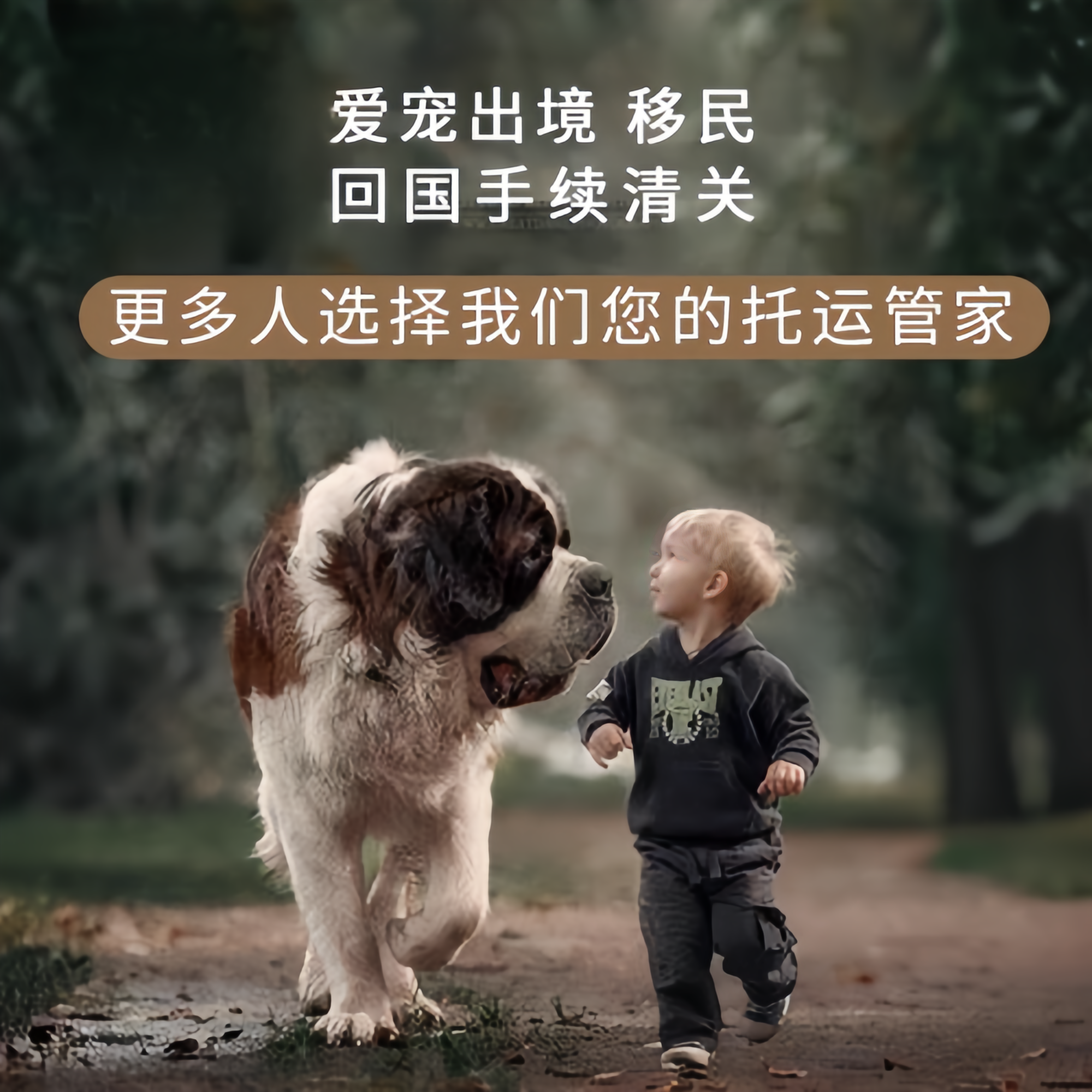 满财玉林市宠物全球达宠物托运在遵守入境目的地政策的条件